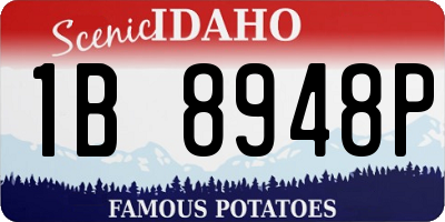 ID license plate 1B8948P