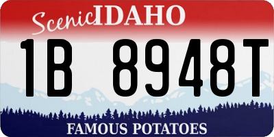 ID license plate 1B8948T