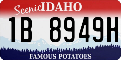 ID license plate 1B8949H