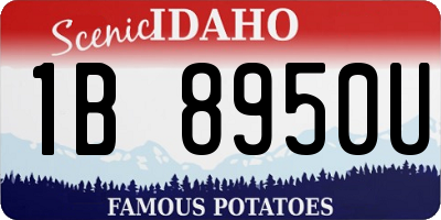 ID license plate 1B8950U