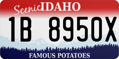 ID license plate 1B8950X