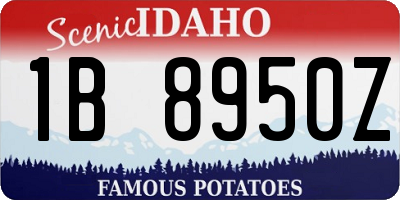 ID license plate 1B8950Z