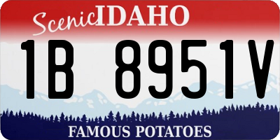 ID license plate 1B8951V