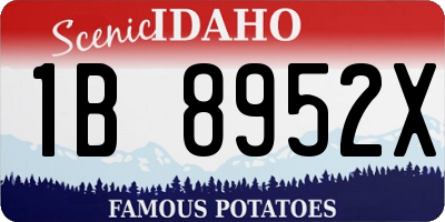 ID license plate 1B8952X