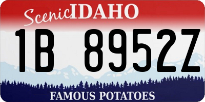 ID license plate 1B8952Z