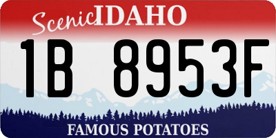 ID license plate 1B8953F