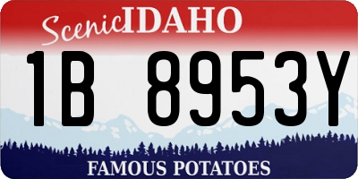 ID license plate 1B8953Y