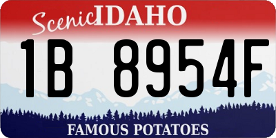 ID license plate 1B8954F