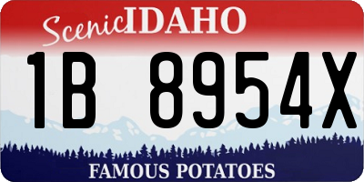 ID license plate 1B8954X