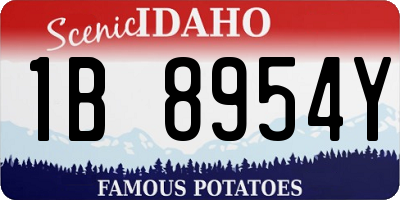 ID license plate 1B8954Y