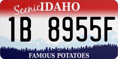 ID license plate 1B8955F