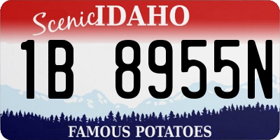 ID license plate 1B8955N