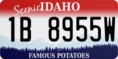 ID license plate 1B8955W