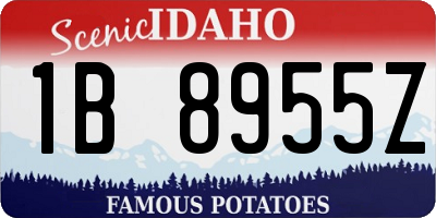 ID license plate 1B8955Z