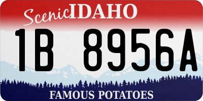 ID license plate 1B8956A