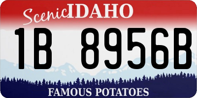 ID license plate 1B8956B