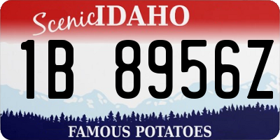 ID license plate 1B8956Z