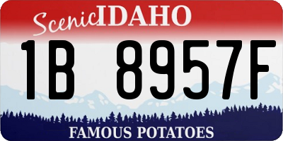 ID license plate 1B8957F