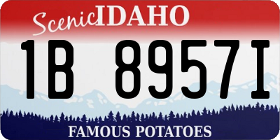 ID license plate 1B8957I