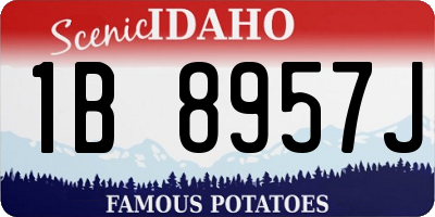 ID license plate 1B8957J