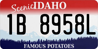 ID license plate 1B8958L