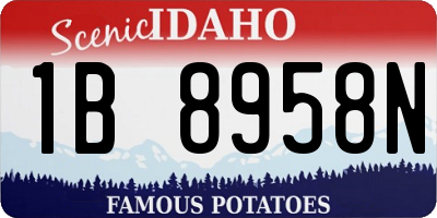 ID license plate 1B8958N