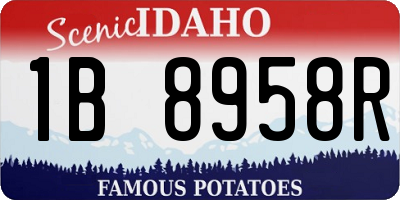 ID license plate 1B8958R