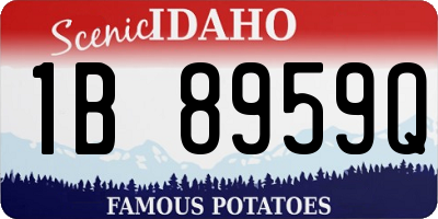 ID license plate 1B8959Q