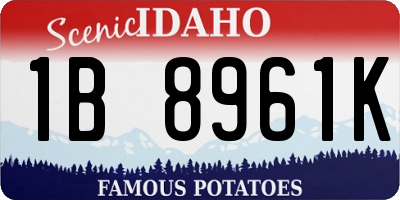 ID license plate 1B8961K