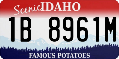 ID license plate 1B8961M