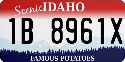ID license plate 1B8961X