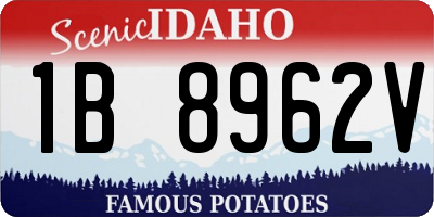 ID license plate 1B8962V