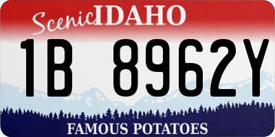 ID license plate 1B8962Y