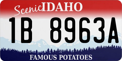 ID license plate 1B8963A