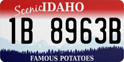 ID license plate 1B8963B
