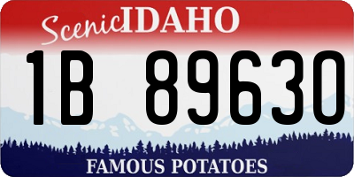 ID license plate 1B8963O