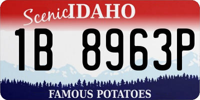 ID license plate 1B8963P