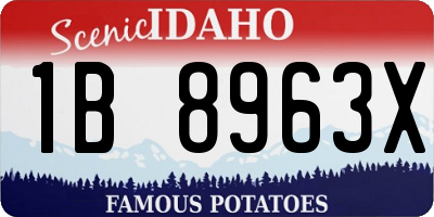 ID license plate 1B8963X