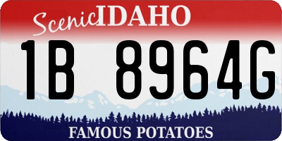 ID license plate 1B8964G