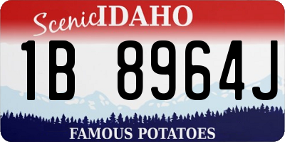 ID license plate 1B8964J