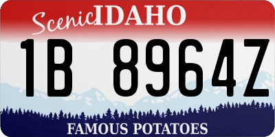 ID license plate 1B8964Z