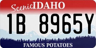 ID license plate 1B8965Y