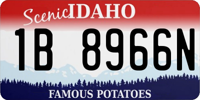 ID license plate 1B8966N