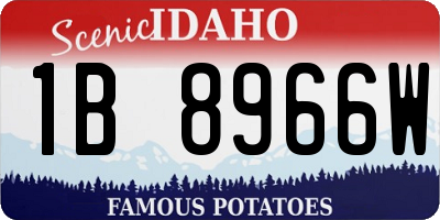 ID license plate 1B8966W