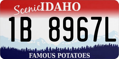 ID license plate 1B8967L
