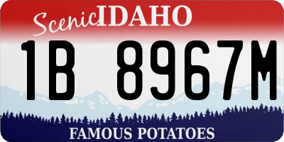 ID license plate 1B8967M