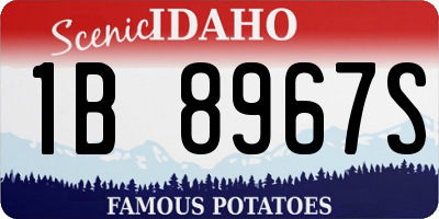 ID license plate 1B8967S