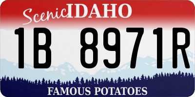 ID license plate 1B8971R