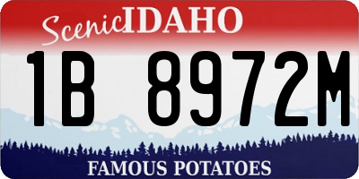 ID license plate 1B8972M