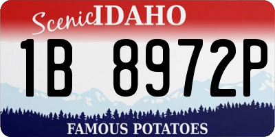 ID license plate 1B8972P